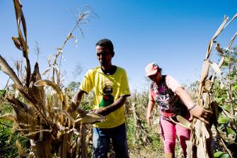 Sicherung von Land und Ressourcen für Kleinbauern